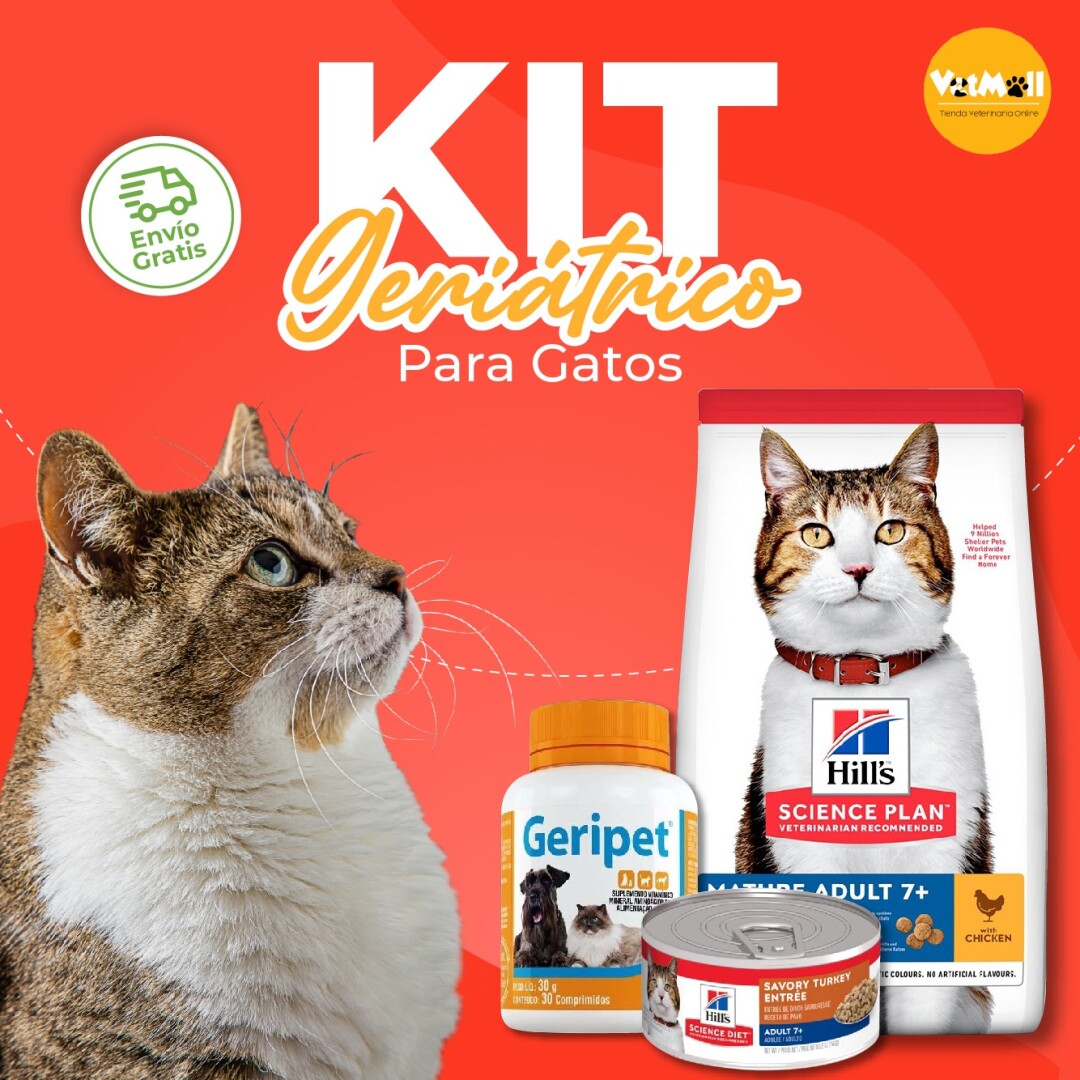 Kit Geriátrico Para Gatos
