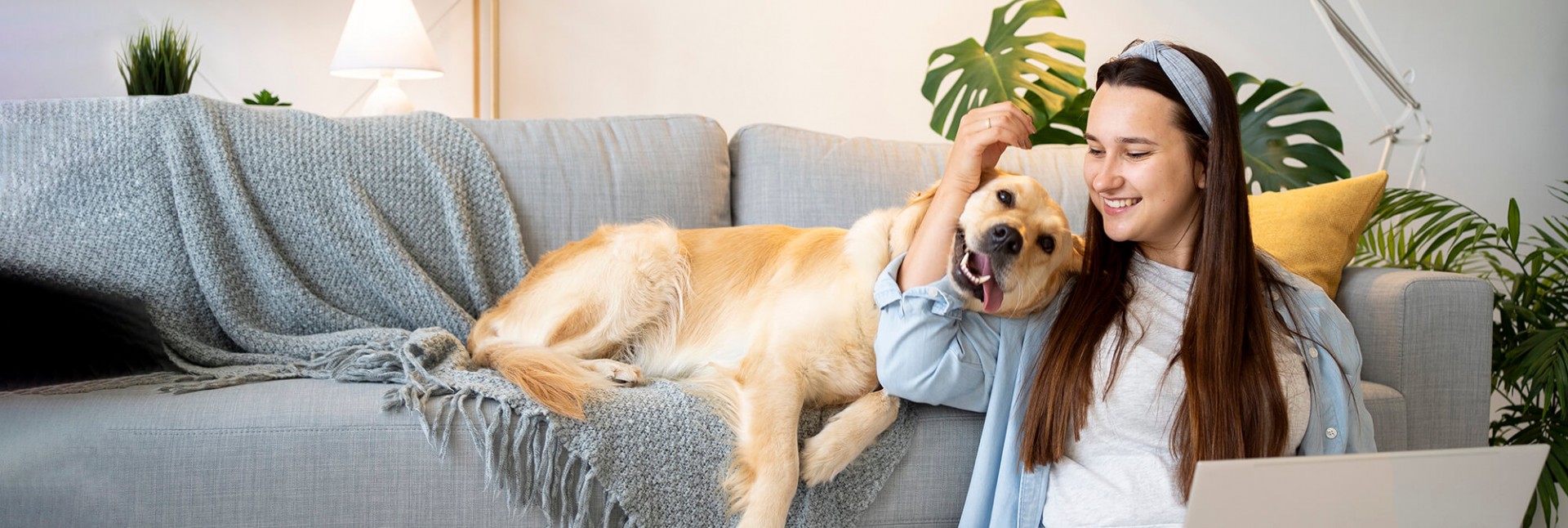 Aprende más sobre los cuidados de tu mascota
